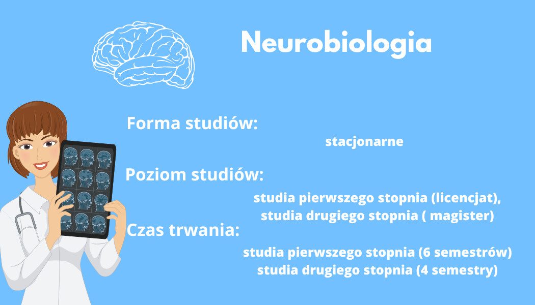Neurobiologia- infografika
