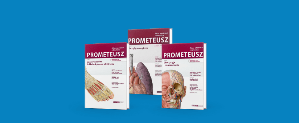 Atlas Prometeusz – jakie atlasy anatomiczne wybrać?